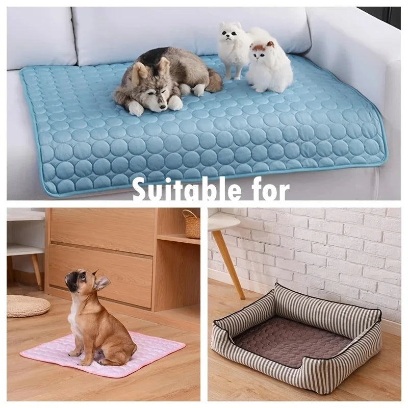 Tapis Rafraîchissant pour Chien et Chat