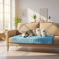 Tapis Rafraîchissant pour Chien et Chat