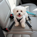 Ceinture de Sécurité Voiture pour Chien
