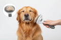 Brosse Auto-Nettoyante pour Chien et Chat - Anti-Poils & Nœuds