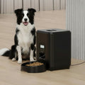 Distributeur de Croquettes Automatique Programmable