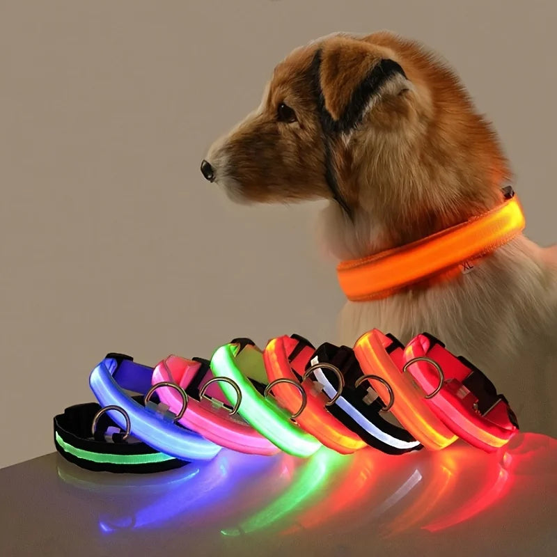 Colliers LED pour Chien – Style & Élégance au Quotidien