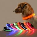 Colliers LED pour Chien – Style & Élégance au Quotidien