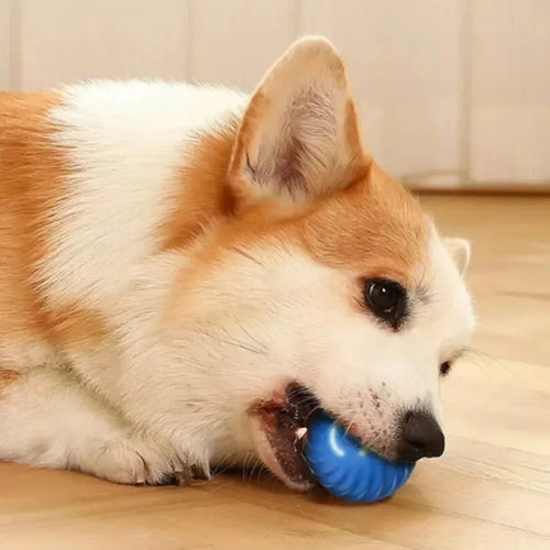 Balle Automatique pour Chien - Rechargeable USB