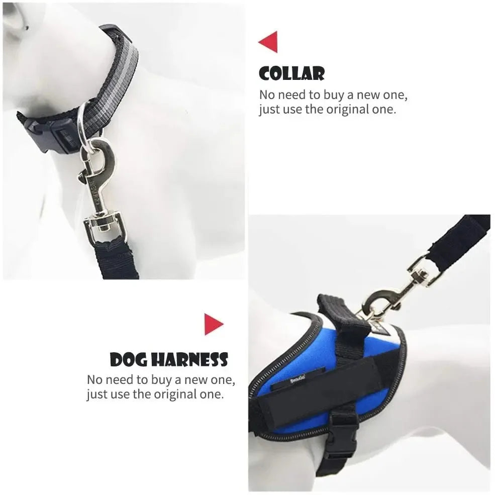 Ceinture de Sécurité Voiture pour Chien