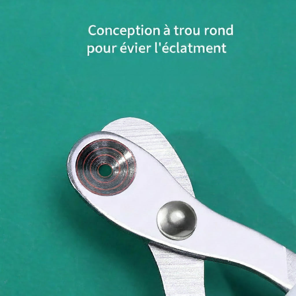 Coupe-griffes Professionnel Chien & Chat en Acier Inoxydable