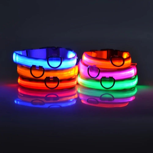 Colliers LED pour Chien – Style & Élégance au Quotidien
