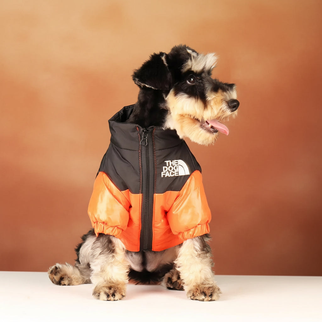 Manteau léger Douillet pour Chien