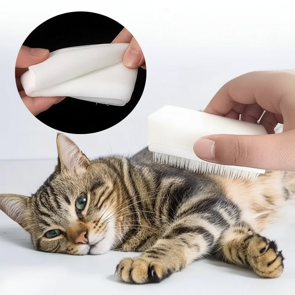 Brosse de Massage Douceur Langue de Chat – Chien et Chat