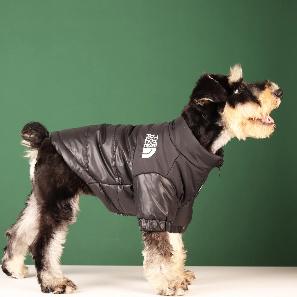 Manteau léger Douillet pour Chien