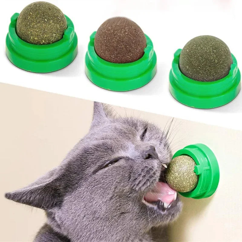 Balle à l'herbe à chat murale - Jouet grattoir naturel pour chat