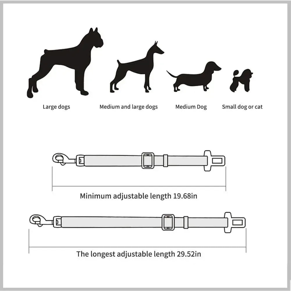 Ceinture de Sécurité Voiture pour Chien