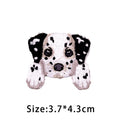 Écusson Brodé Chien Kawaii à Repasser - Border Collie & Berger