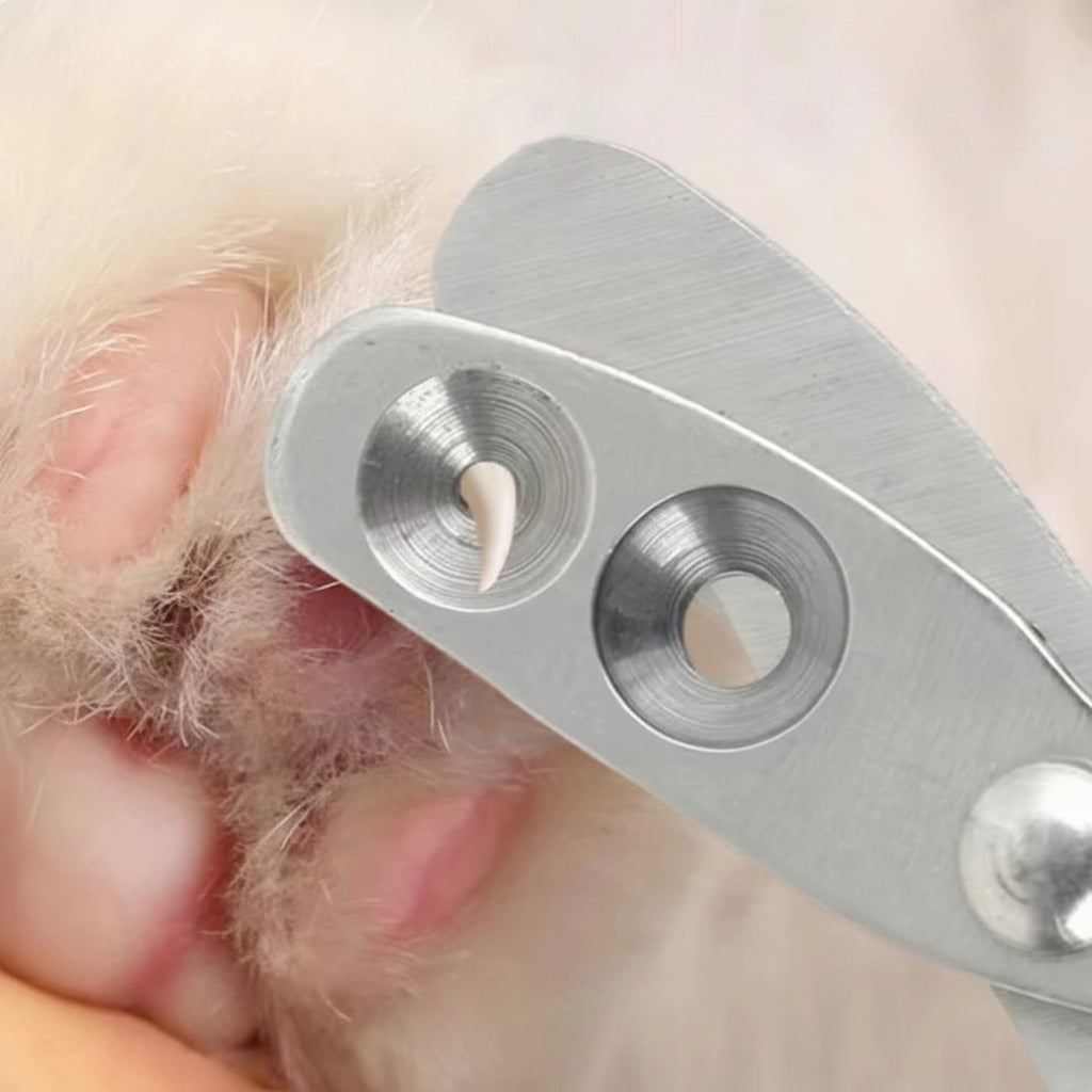 Coupe-griffes Professionnel Chien & Chat en Acier Inoxydable