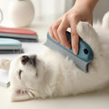 Brosse Anti-Poils Magique – Vêtements, Canapé & Voiture